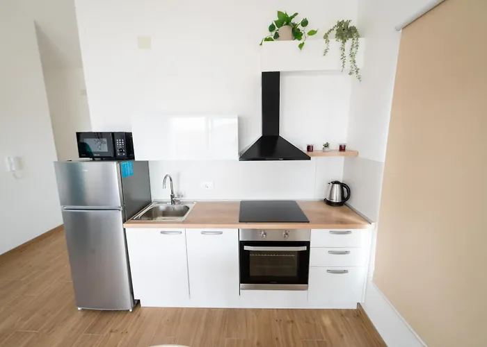 Daire Piskulic Brodarica (Sibenik-Knin)